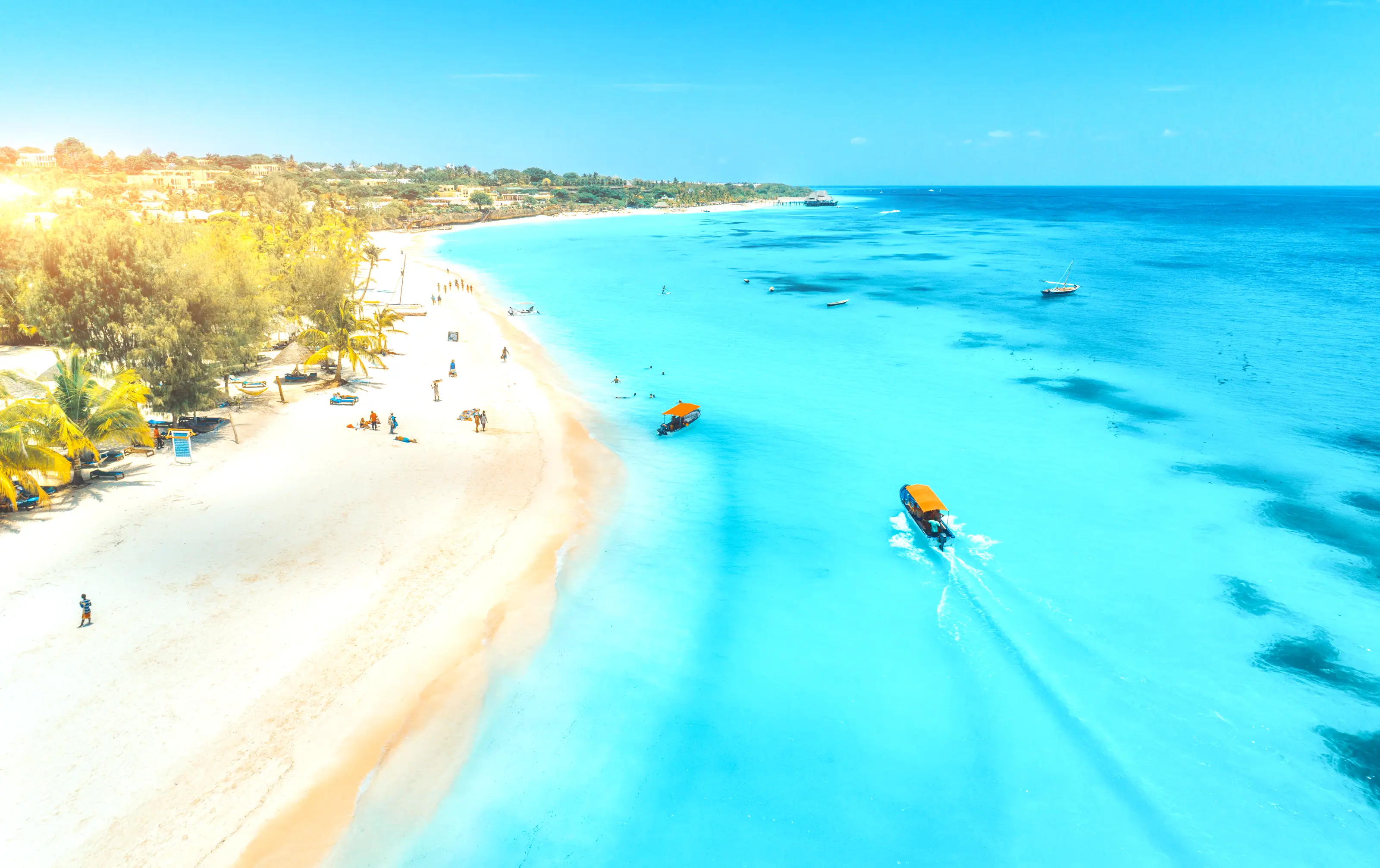 An aerial view of a palm-lined beach meeting clear turquoise water