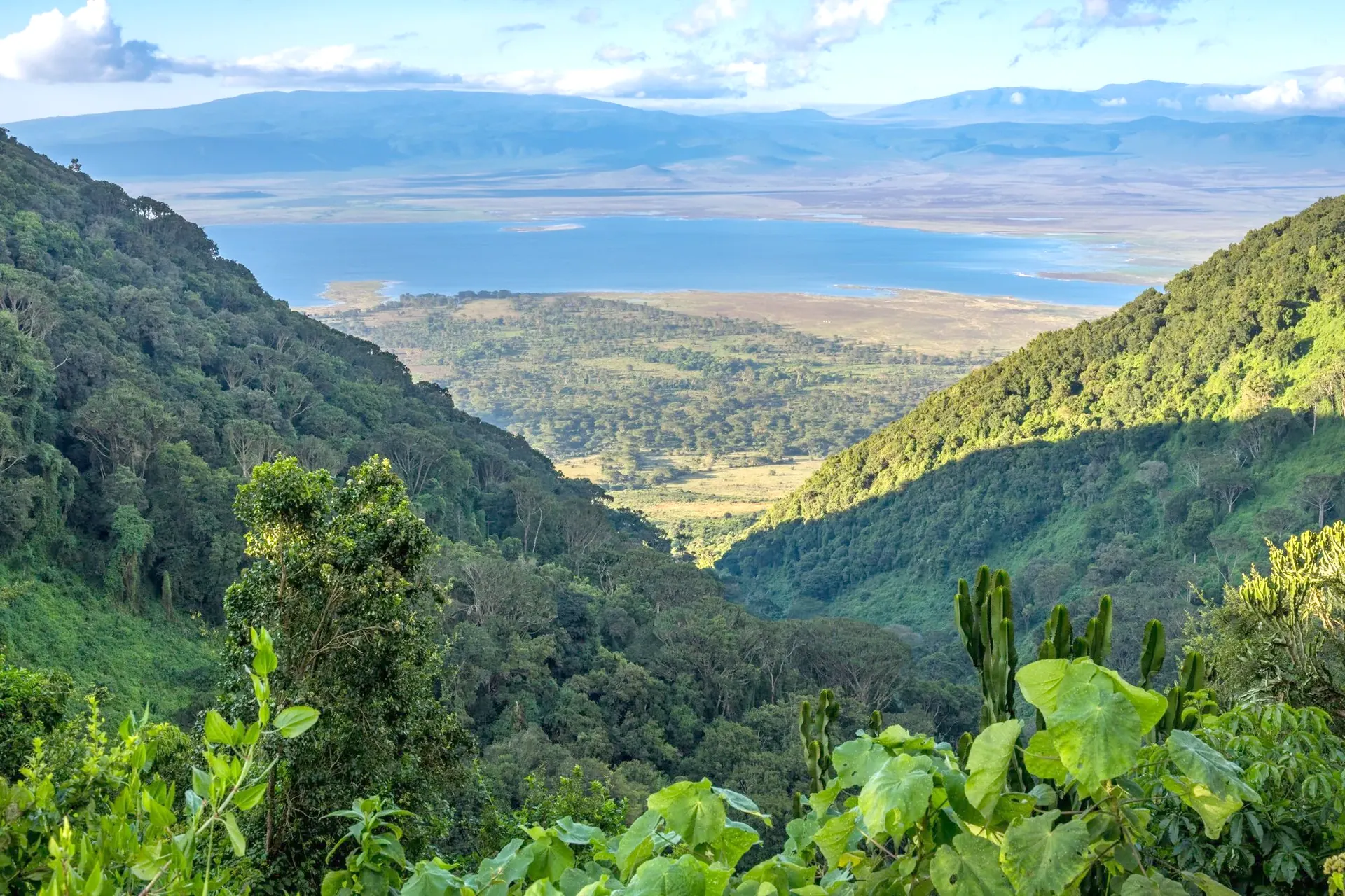 The Ngorongoro Crater seen from the forested rim, with the crater floor and lake below